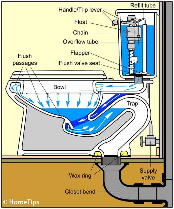 Toilet Design