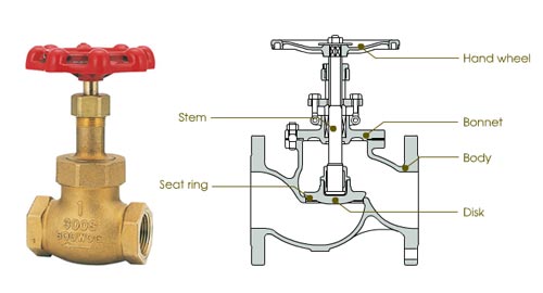 Globe Valve