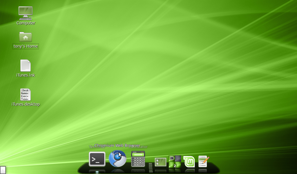 Linux Mint Dock