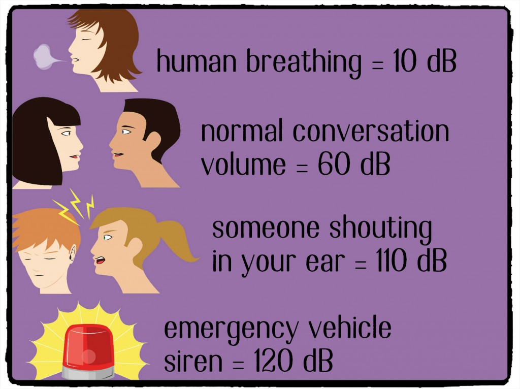 Decibels Compared